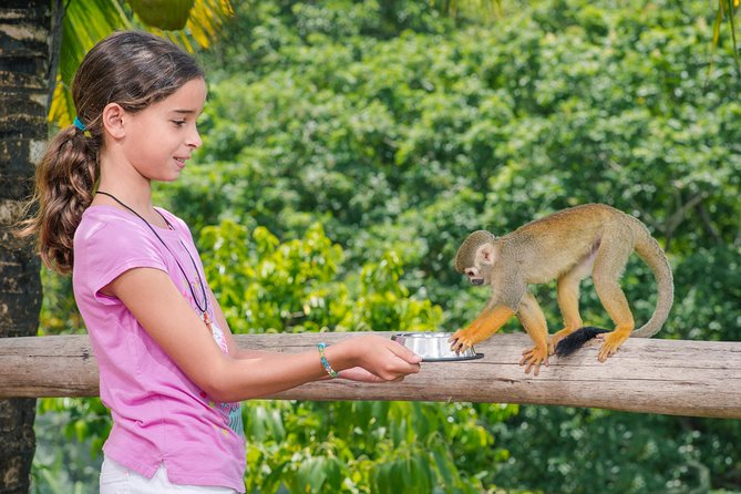 Monkeyland and Plantation Safari from La Romana - Who will enjoy this excursion most?