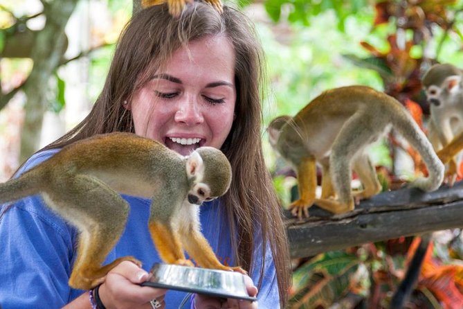 Monkeyland and Plantation Safari from La Romana - Riding through the La Romana countryside