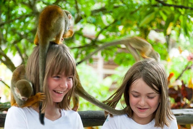 Monkeyland and Plantation Safari Tour from Punta Cana - The botanical garden and mountain views