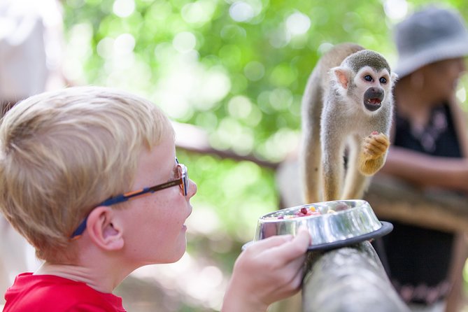 Monkeyland and Zipline Adventure from Puerto Plata - Safety training before the first zipline