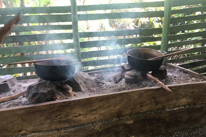 Monkeyland & Plantation Safari Full Day from Juan Dolio - Forty-five minutes with squirrel monkeys
