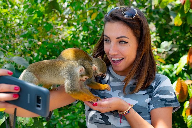 Monkeyland & Plantation Safari Full Day from Juan Dolio - A botanical garden before the monkeys