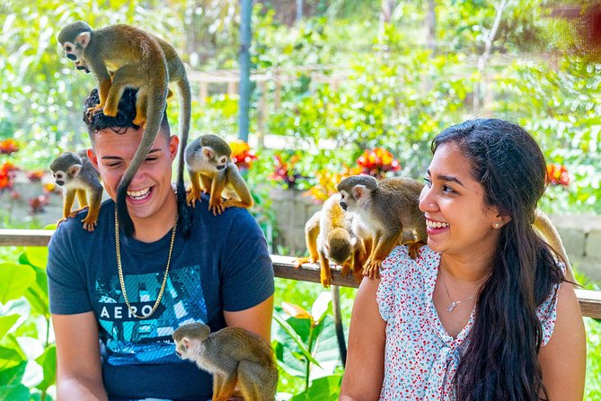Monkeyland Puerto Plata - What the $70 price really buys you