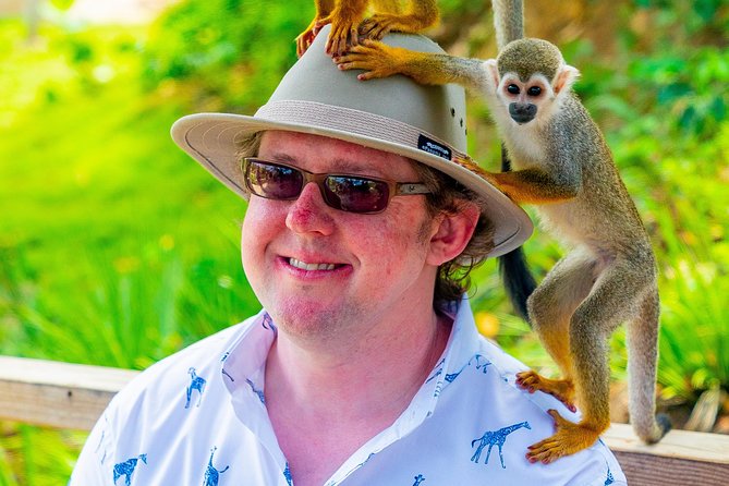 Monkeyland Puerto Plata - Coffee, cocoa, hot chocolate, and local samples