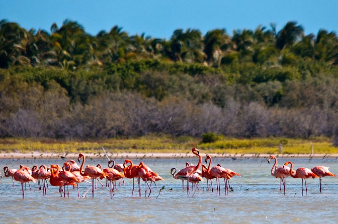 Nature Combo Oviedo Lagoon & Bahia de las Aguilas - A 7:30 am start from Barahona