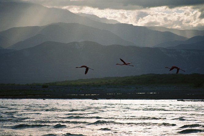 Nature Combo Oviedo Lagoon & Bahia de las Aguilas - Guides who add value to the day