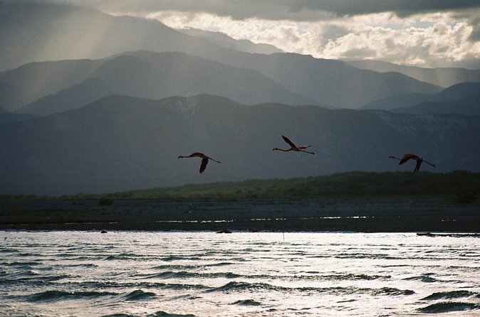 Nature Combo Oviedo Lagoon & Bahia de las Aguilas - Who will enjoy this tour most