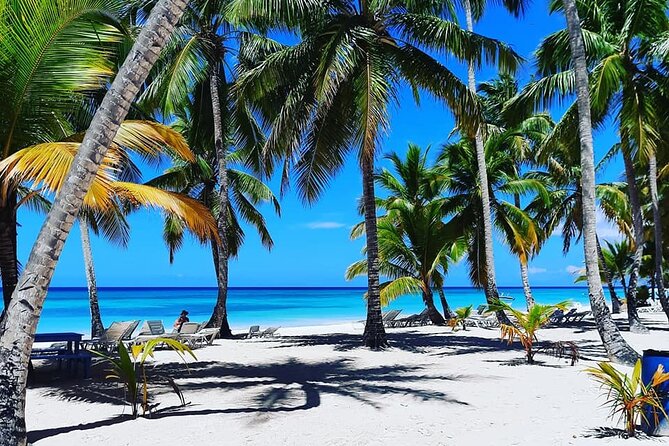 Ocean El Faro Resort - Round Trip Shuttle - Punta Cana Airport - A private ride instead of a shared airport shuttle