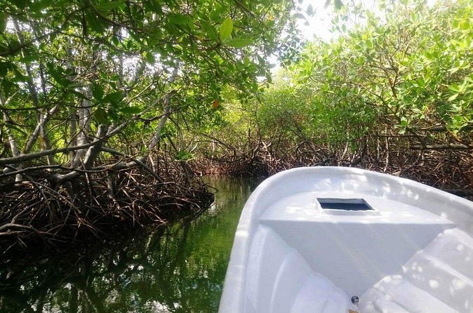 Paradise Island & Mangroves Tour - Dominican lunch in Punta Rucia