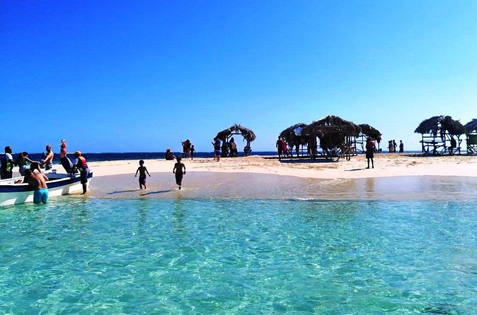 Paradise Island & Mangroves Tour - Is $89 a fair price?