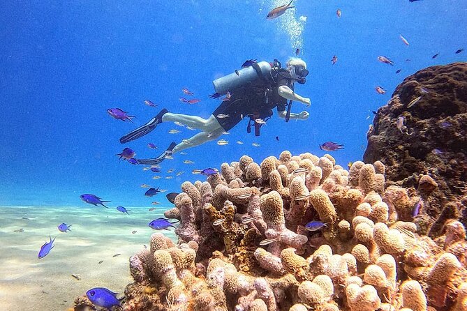 paradise island ( punta rucia) - Group size and guide service can shape the experience
