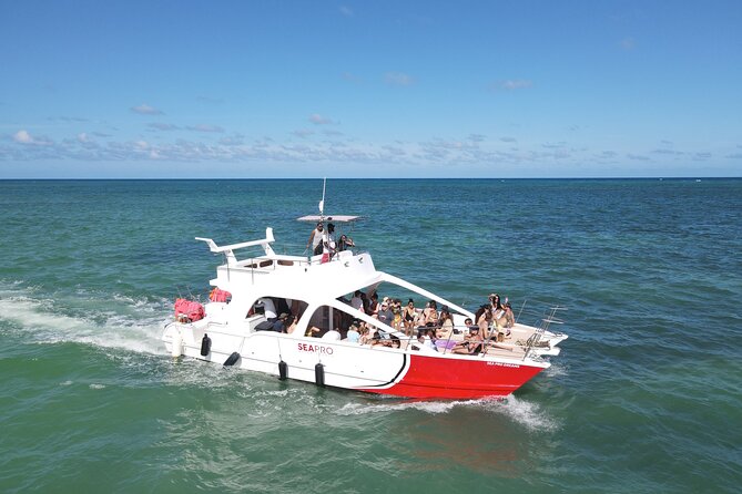 Party Boat Cruise from Punta Cana - Music and drinks between the two stops