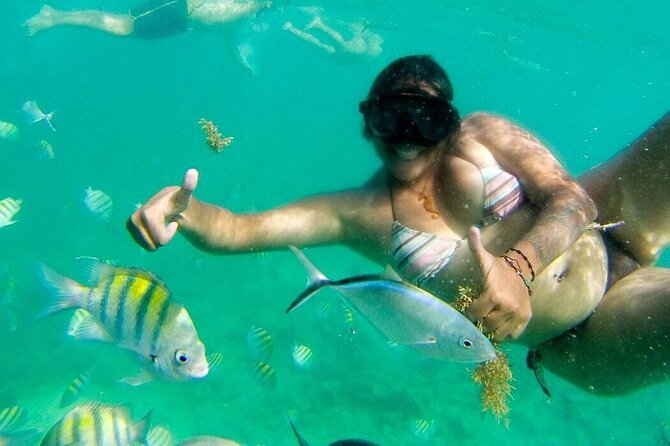 Party Boat - Private groups, snorkeling - Open Bar. - How this compares with a shared cruise