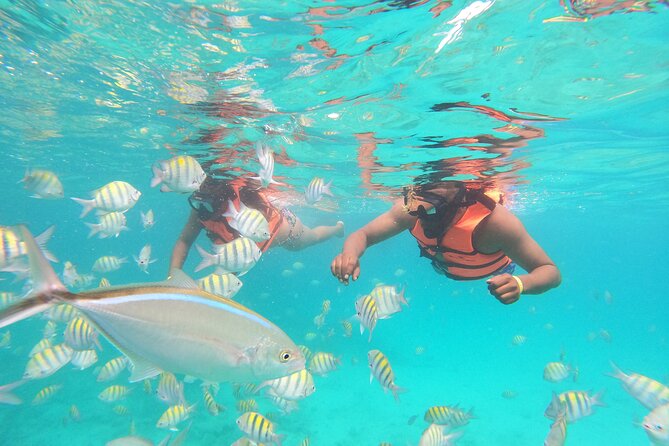 Party Boat Punta Cana - Is $65 a fair price?