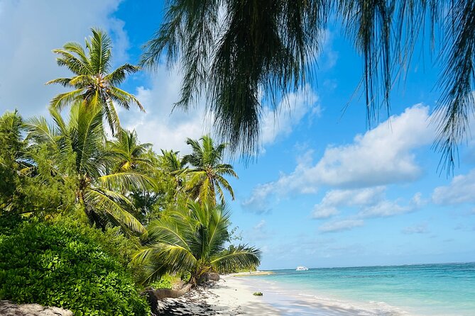 Party Boat Punta Cana Public or Private and Open Bar - Choosing the right departure and tour style