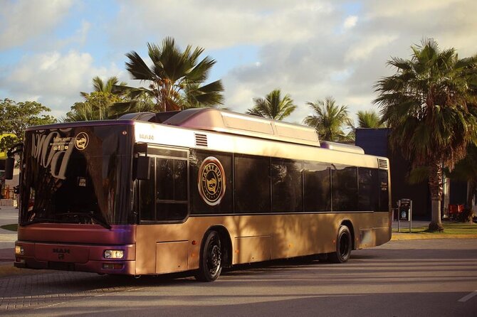 Party Bus Rental - Key Points Before You Book