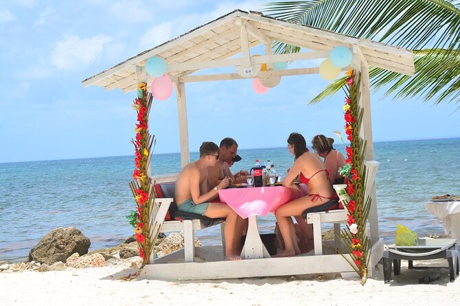 Perfect Day at Saona Island by Speedboat - Completely Private - What $450 per person really buys