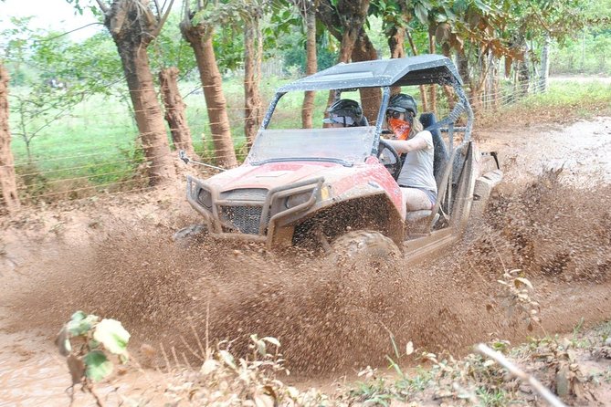 Platinum Buggy Adventure - Macao Beach, Punta Cana’s resort-free shore