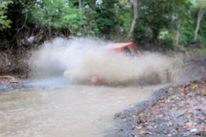 Pop Buggy Excursion from Amber Cove and Taino Bay Puerto Plata - Safety, comfort, and what to pack