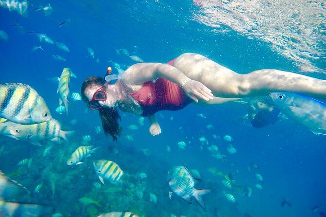 Private all-inclusive snorkeling at sosua beach. - Lunch, rum, beer, and the beach chair finish