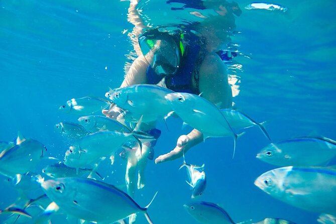 Private all-inclusive snorkeling at sosua beach. - Who will enjoy this outing most