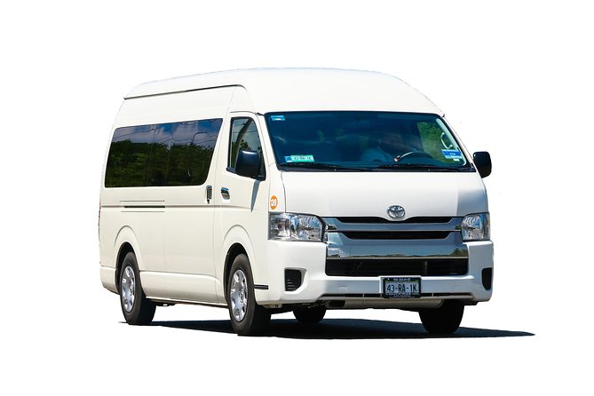 Private Arrival Transfer: Puerto Plata International Airport to Hotels (1 - 6) - Why a private airport ride can be worth it in Puerto Plata