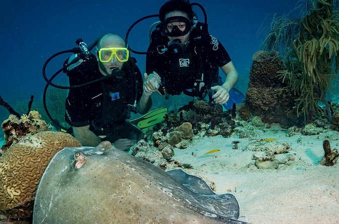 Private Bayahibe 3 Tank Diving with Lunch from Punta Cana - A made-to-order seaside lunch