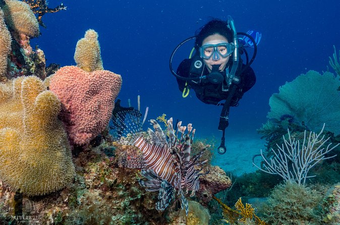 Private Bayahibe 3 Tank Diving with Lunch from Punta Cana - The afternoon session completes the day