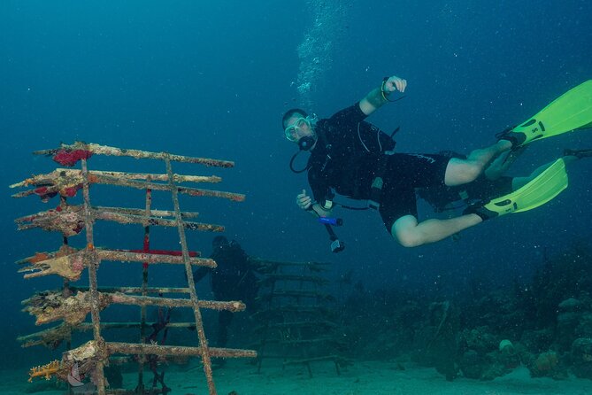 Private Bayahibe 3 Tank Diving with Lunch from Punta Cana - A 7:30 a.m. pickup and private ride south