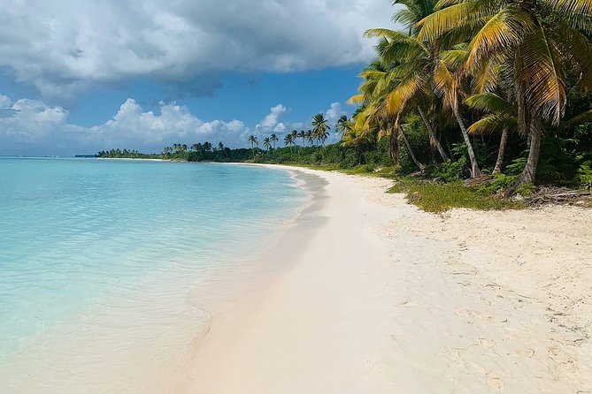 Private Boat Nature Tour of Saona Island - A boat ride through the National Park of the East