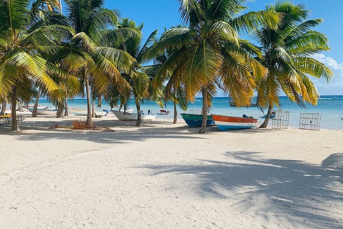 Private Boat Nature Tour of Saona Island - Mano Juan, a real fishing village