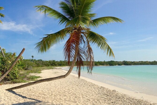 Private Boat Nature Tour of Saona Island - The sea turtle conservation project
