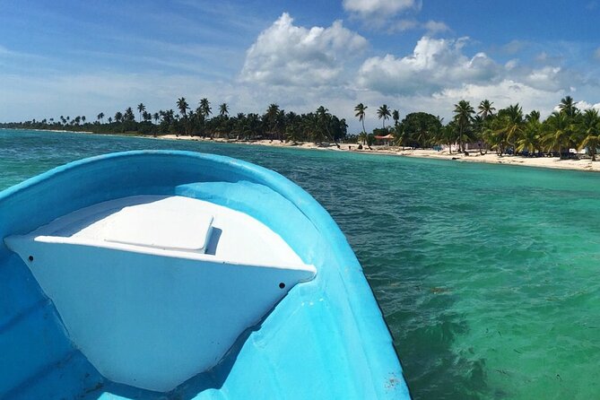 Private Boat Nature Tour of Saona Island - Lunch, snacks, and what you need to bring