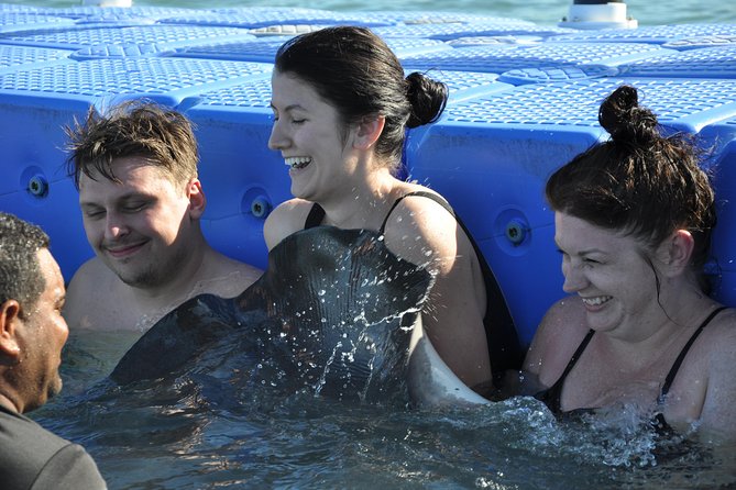 Private Caribbean Snorkeling Cruise At Punta Cana & Sharks, Stingray Encounter - Meeting the sharks and stingrays