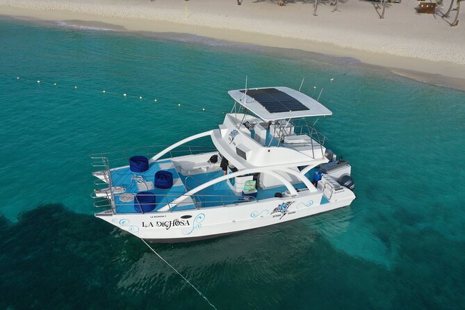 Private Full Day Charter to Saona Island from Punta Cana - Key points at a glance