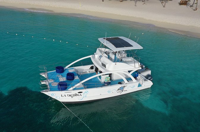 Private Full Day Charter to Saona Island from Punta Cana - Saona Island: beach time on your schedule