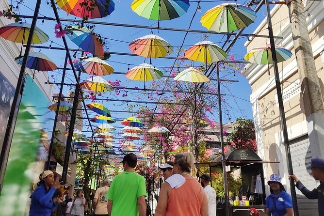 Private Guided Tour: Explore Puerto Plata’s Rich History! - Rum, amber, and chocolate: Puerto Plata through local products