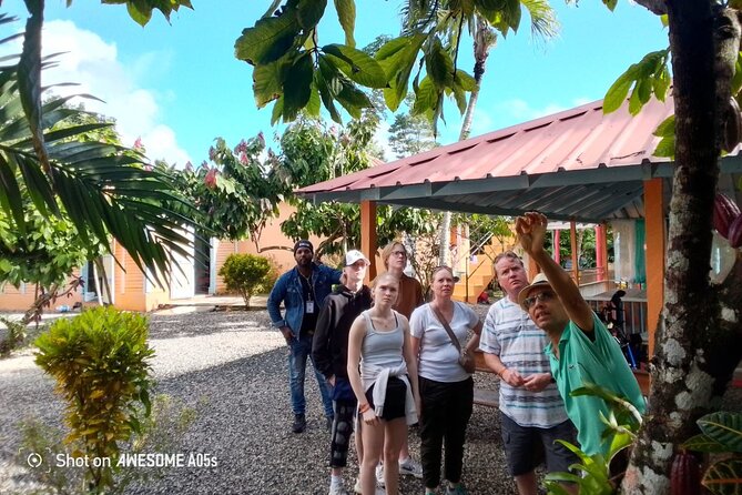 Private Half Day Tour in Dominican Republic with Local Guide - Pickup from Punta Cana and the ride inland