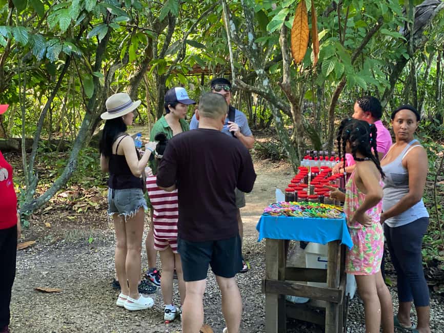 Private Half Day Tour in Punta Cana-Higüey with Local Guide - Learning the craft of cigar making
