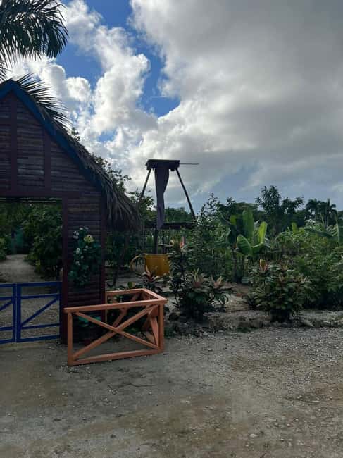 Private Half Day Tour in Punta Cana-Higüey with Local Guide - How flexible is the private program?