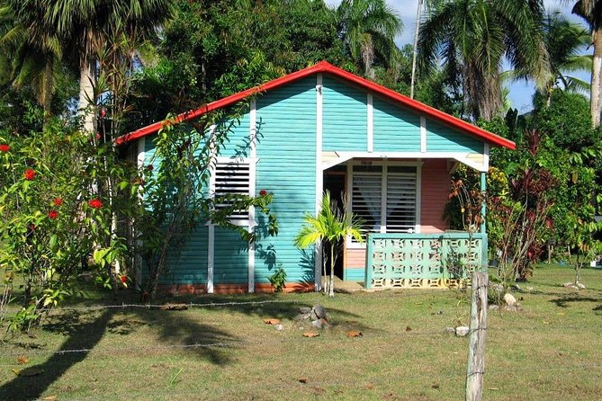 Private Higuey City Tour Real Life in Punta Cana (Half Day) - What the guide and vehicle mean for your day