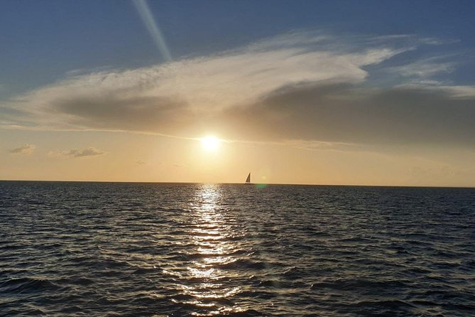 Private Luxury Catamaran - Saona or Catalina island - Who will enjoy this catamaran most