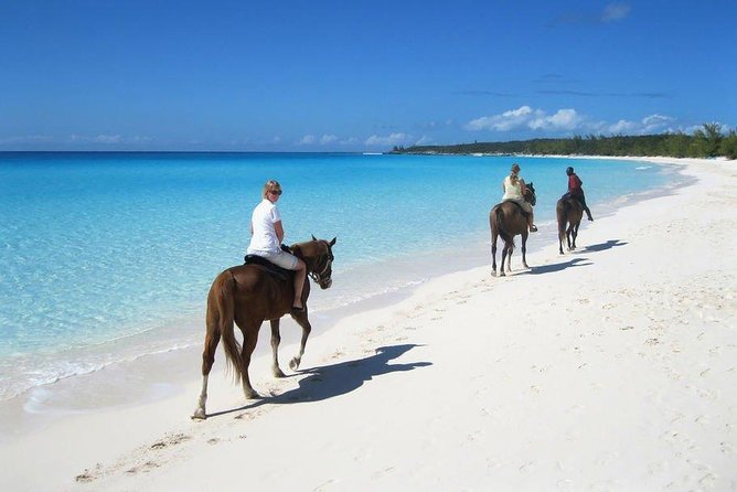 Private Macao Beach horseback riding in punta cana and Bayahibe - Key points to know before you ride
