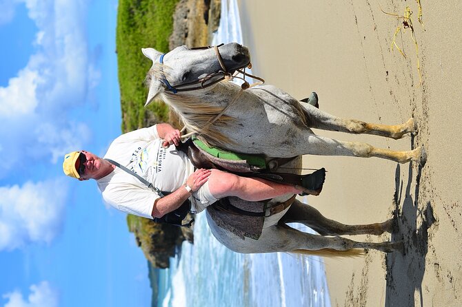 Private Macao Beach horseback riding in punta cana and Bayahibe - Who should book this ride