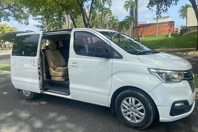 Private Punta Cana Airport (PUJ) Transfers to Bayahibe Hotels - Leaving Punta Cana Airport with a clear meeting plan