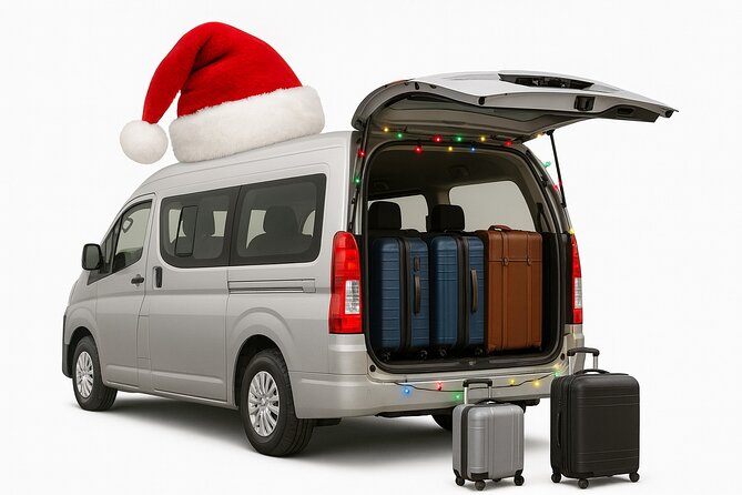 Private Punta Cana Airport Transfers Hotels in Dominican Republic - Leaving Punta Cana Airport without the taxi queue