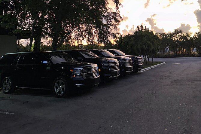 Private Punta Cana Airport Transfers Hotels in Dominican Republic - Round-trip service on departure day