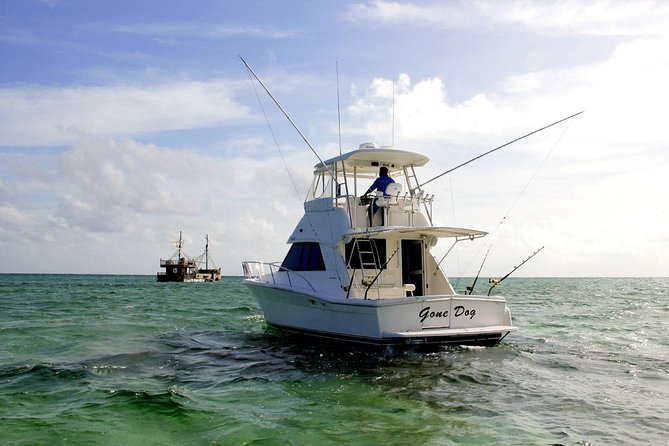 Private Punta Cana Six Hour Fishing Charter - Fishing for marlin, sailfish, tuna, and mahi mahi