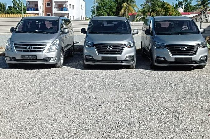 Private Roundtrip Transfer from Punta Cana Airport to Hotels - Who should book this Punta Cana transfer?