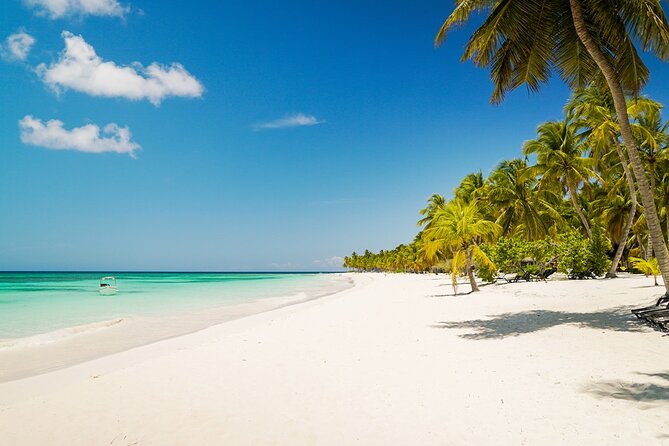 Private Saona Island Excursion - Key points to know before booking